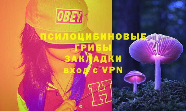 мдпв Армянск