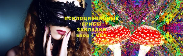 мдпв Армянск