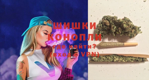 гидра Арсеньев
