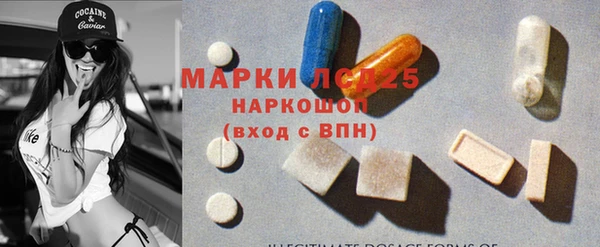 гидра Арсеньев