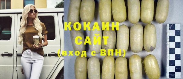 гидра Арсеньев