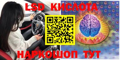 крисы Малоярославец