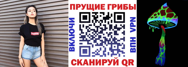 Псилоцибиновые грибы Psilocybine cubensis  гидра как зайти  Дюртюли  купить закладку 