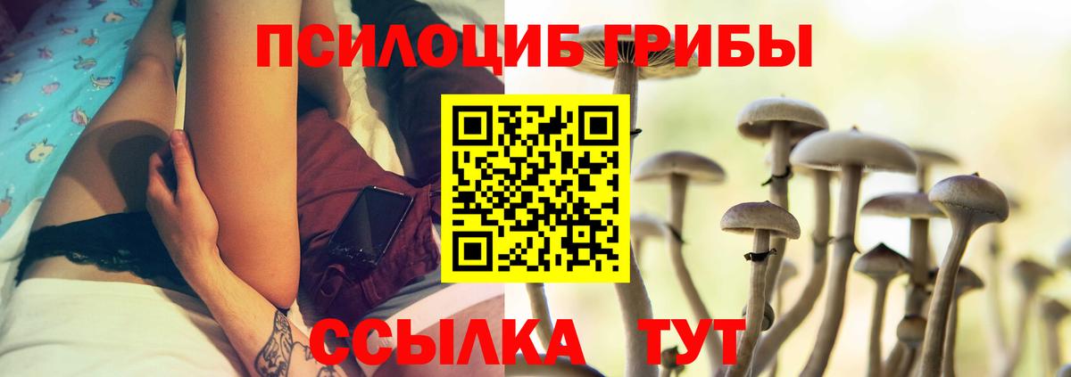 Псилоцибиновые грибы мицелий  Галлюциногенные грибы GOLDEN TEACHER  Вход с VPN  Дюртюли 
